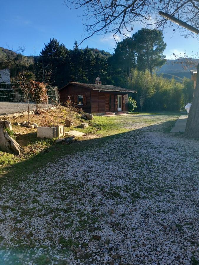 Petit Chalet En Bois Reynès Екстериор снимка